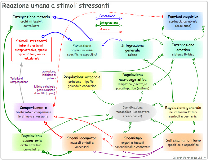 Reazione umana a stimoli stressanti
